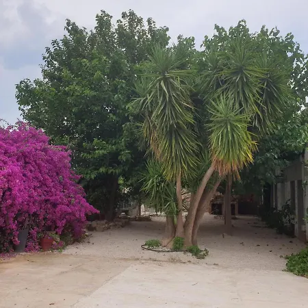 Assut Hostel Xerta