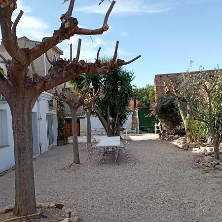 Assut Hostel Xerta